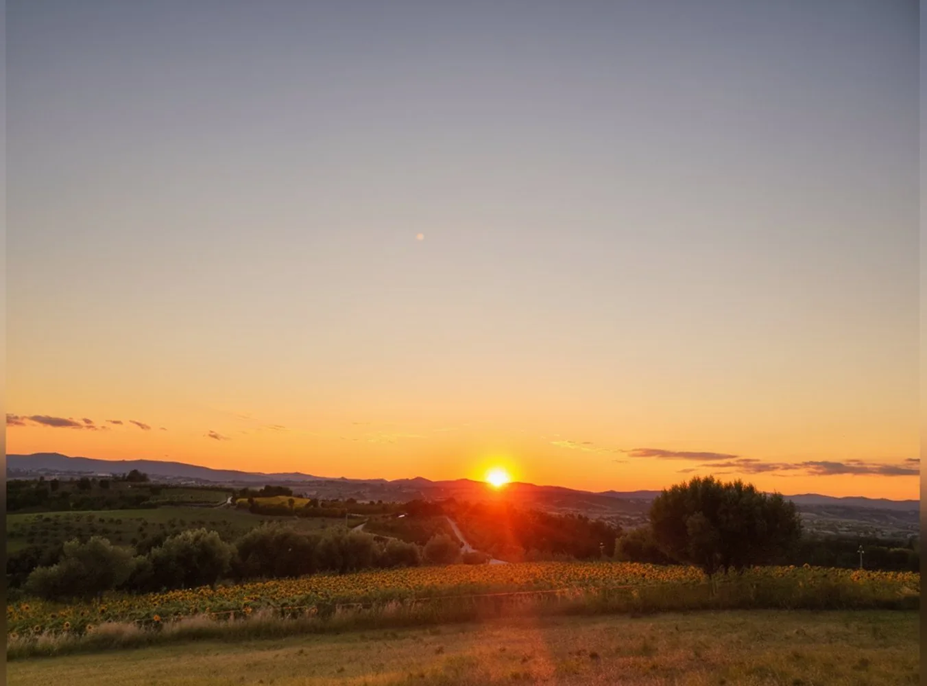 La Collina, 
