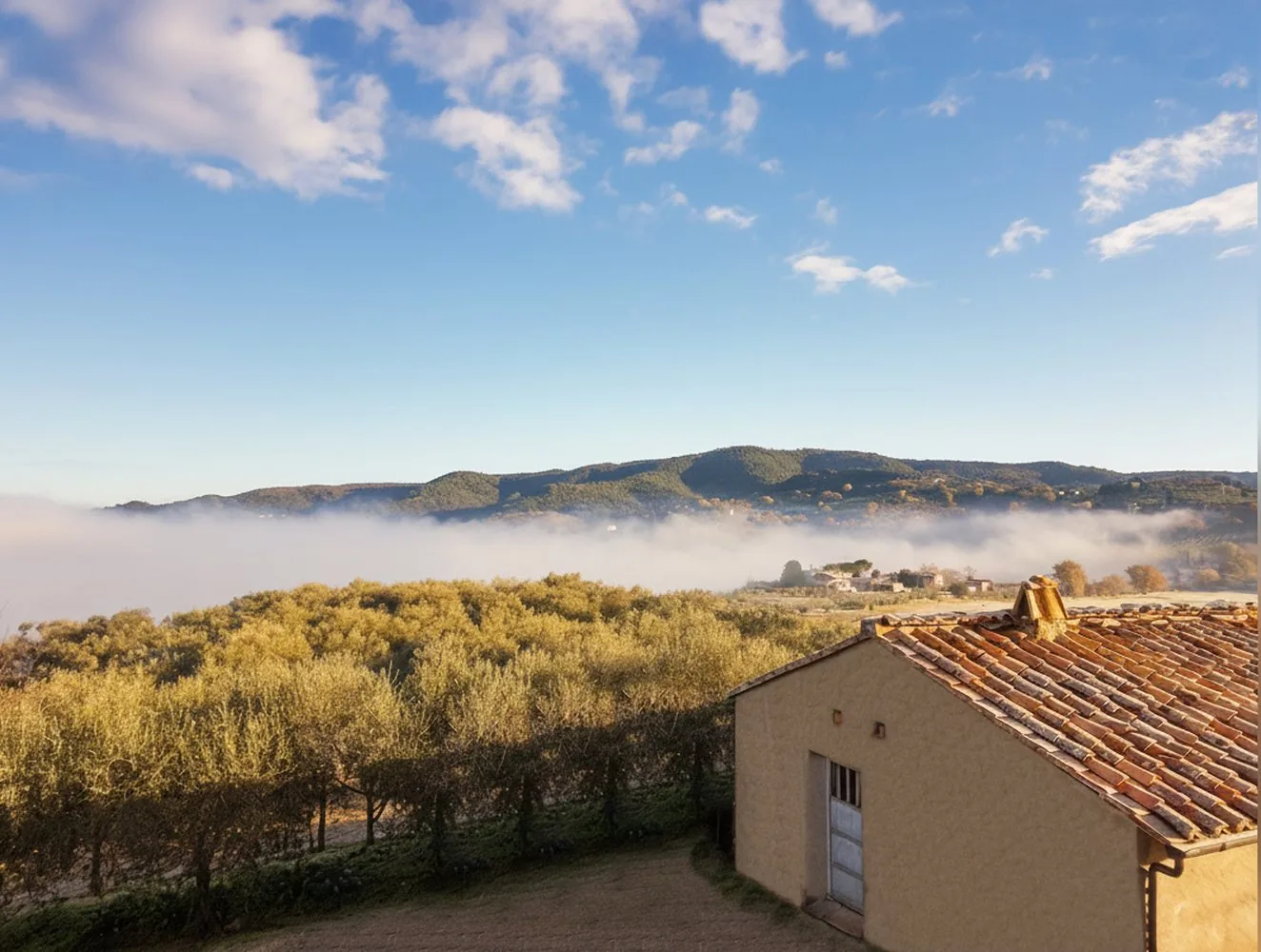 La Collina, 